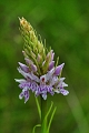 07 06 15_4930_edited-1